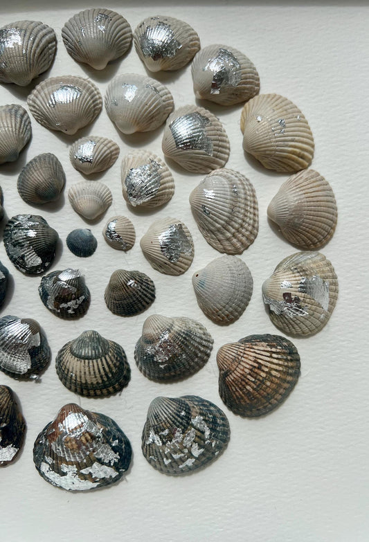 Sea Shine Silver Round Shells from the North Sea - Sustainable Decor for Bedroom