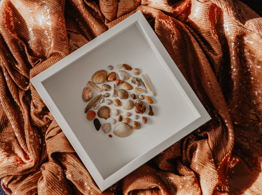 Round Amber Handpicked Shells from North Sea Sustainable Art for Bedroom