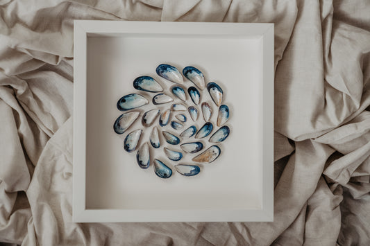 Spiral Art for Cozy Bedroom Interior Decor with North Sea Shells