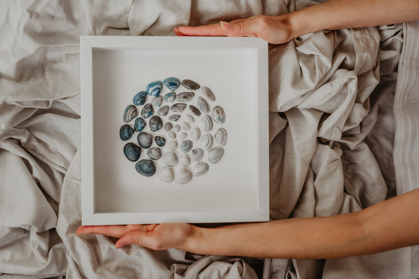 Sea Spirit Art North Sea Shells for Cozy Living Room