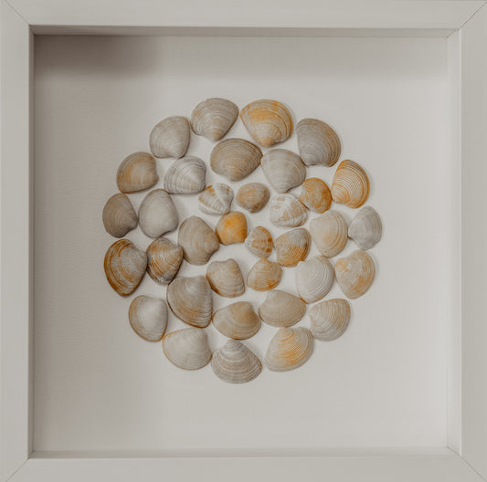 Sea Song Round Shells from North Sea Sustainable Decor for Bedroom