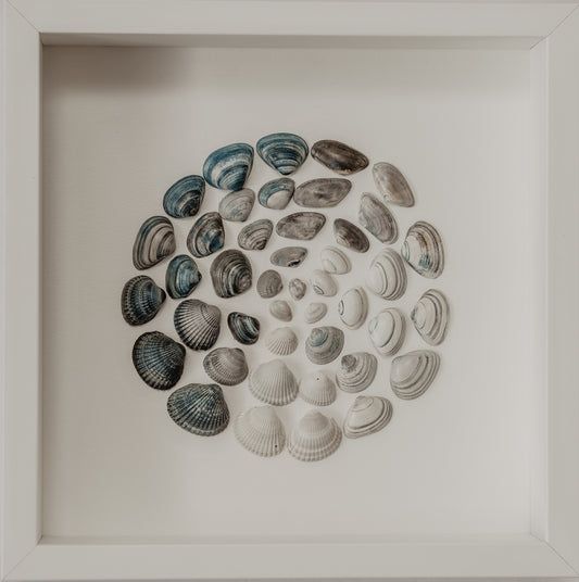 Sea Spirit Art North Sea Shells for Cozy Living Room