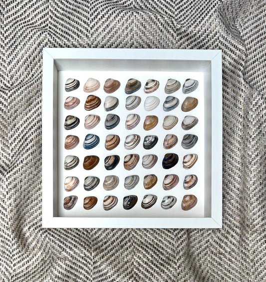 Abstract Minimalism North Sea Shells Sustainable Decor for Bedroom