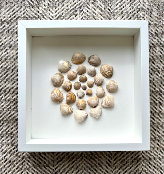 Shells Dance Round Handpicked Shells from the North Sea - Sustainable Decor for Bedroom