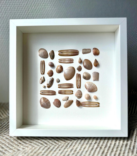 Summertime Handpicked Shells from the North Sea - Sustainable Decor for Bedroom