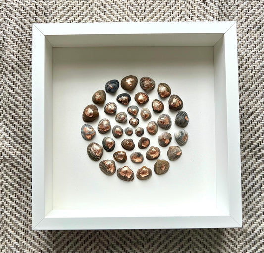 Sunset Sea Round Shells from the North Sea - Sustainable Decor for Bedroom