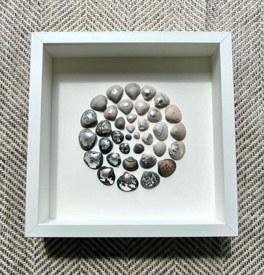 Sea Shine Silver Round Shells from the North Sea - Sustainable Decor for Bedroom