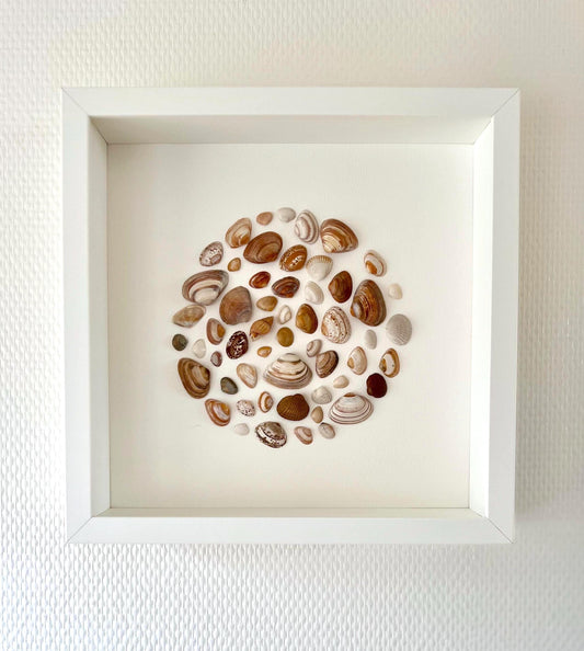 Beach Vibes Handpicked Shells from North Sea Sustainable Art for Bedroom
