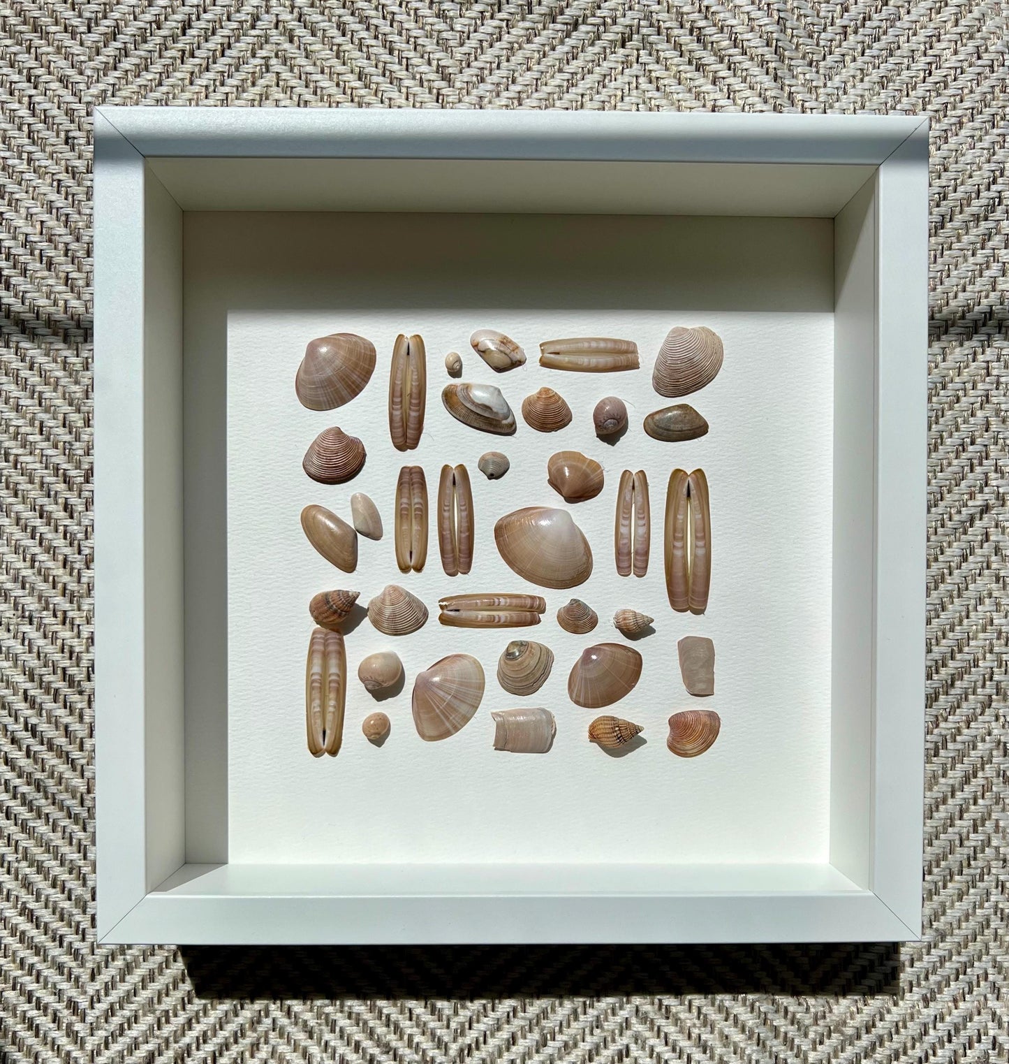 Summertime Handpicked Shells from the North Sea - Sustainable Decor for Bedroom