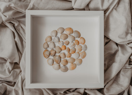 Sea Song Round Shells from North Sea Sustainable Decor for Bedroom