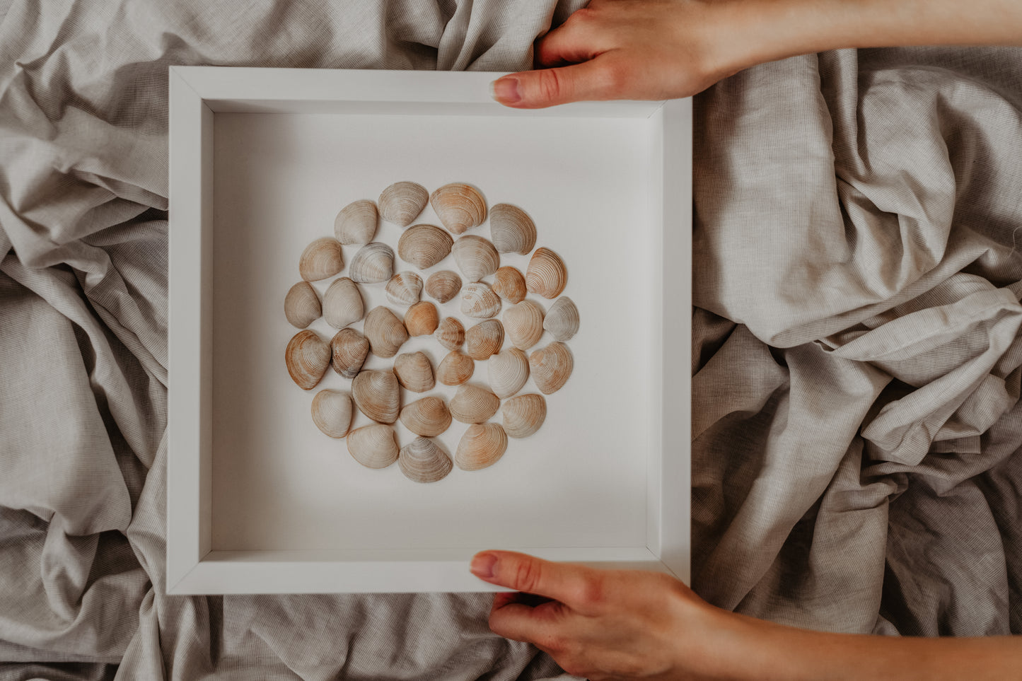 Sea Song Round Shells from North Sea Sustainable Decor for Bedroom
