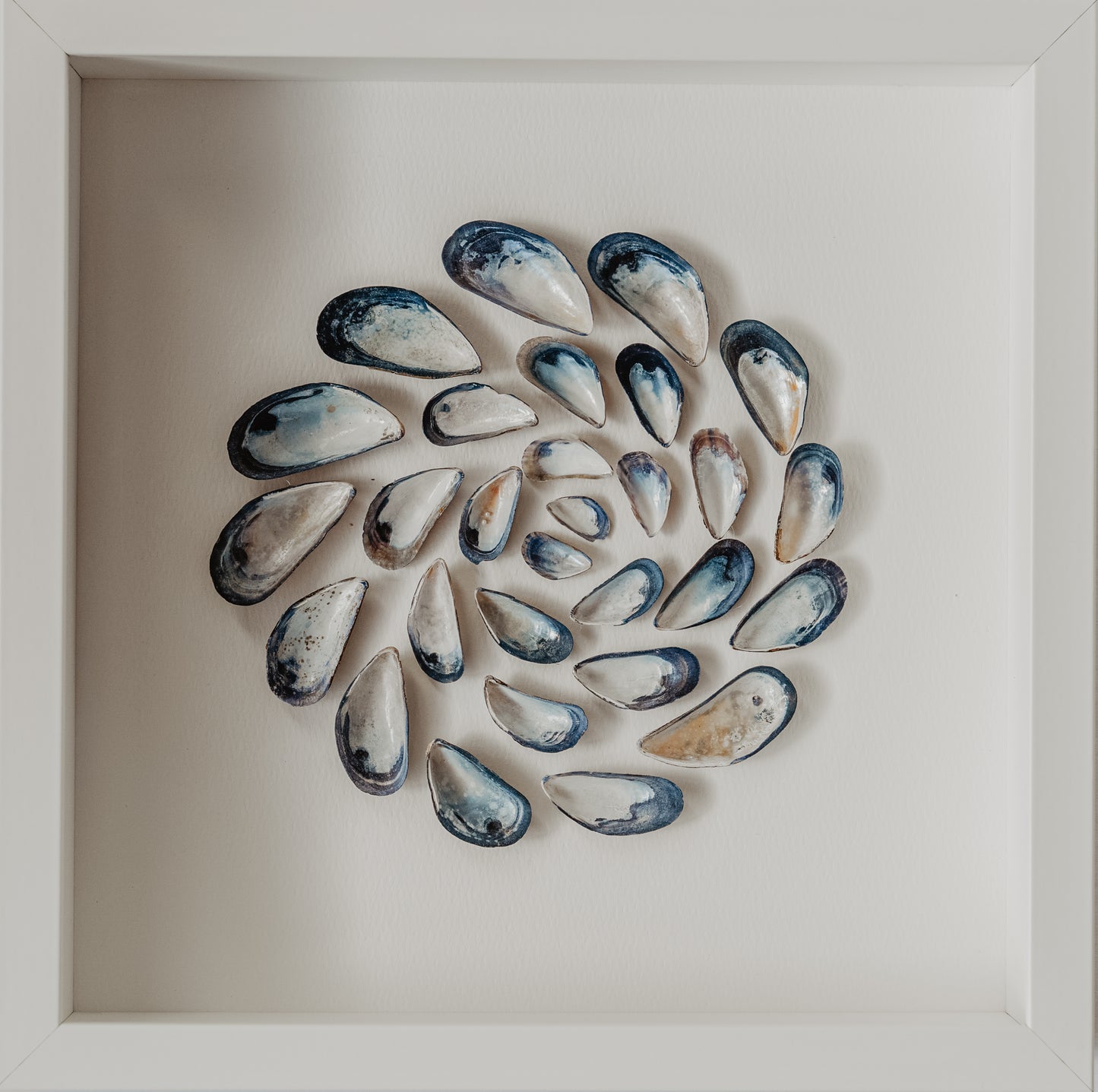 Spiral Art for Cozy Bedroom Interior Decor with North Sea Shells