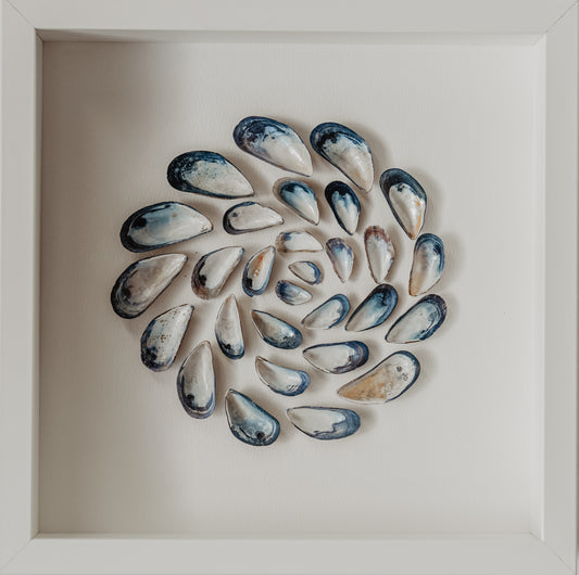 Spiral Art for Cozy Bedroom Interior Decor with North Sea Shells