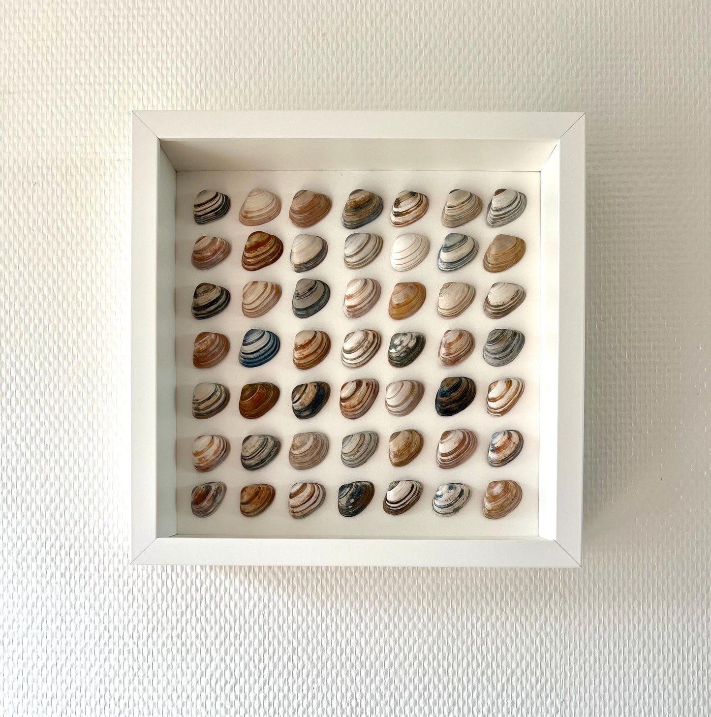 Abstract Minimalism North Sea Shells Sustainable Decor for Bedroom