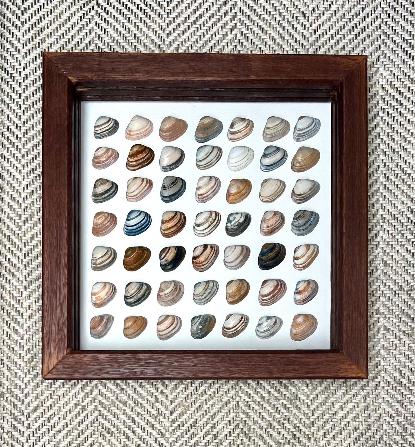 Abstract Minimalism North Sea Shells Sustainable Decor for Bedroom